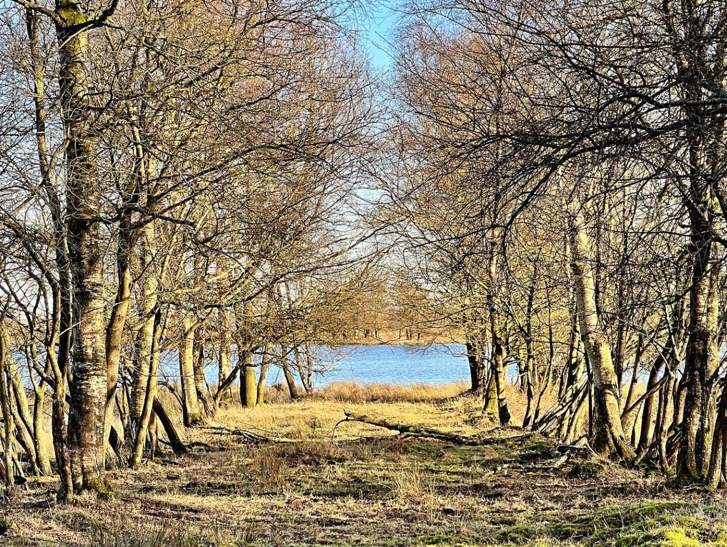 Natuurhuisje Meppen 外观 照片