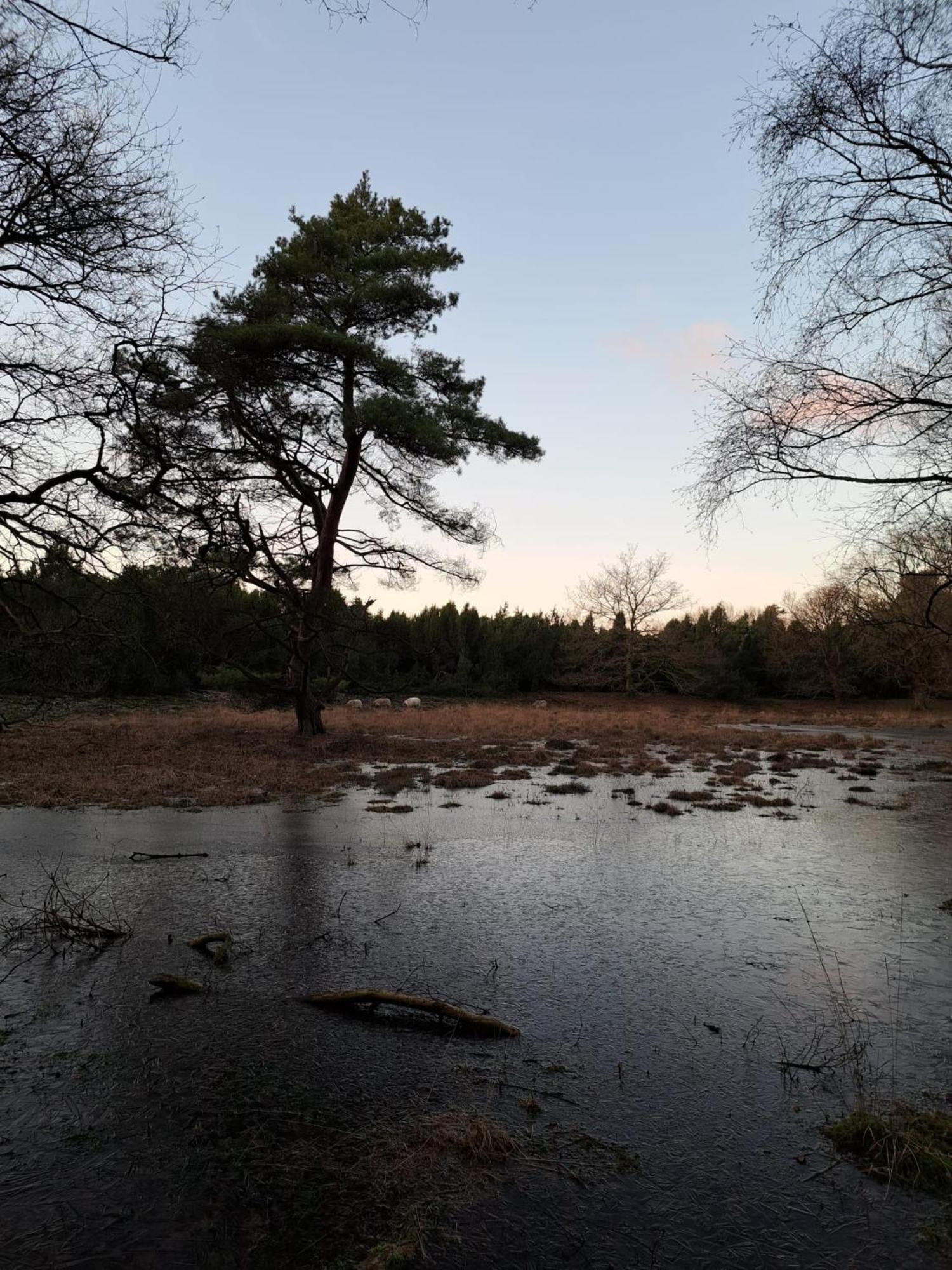 Natuurhuisje Meppen 外观 照片