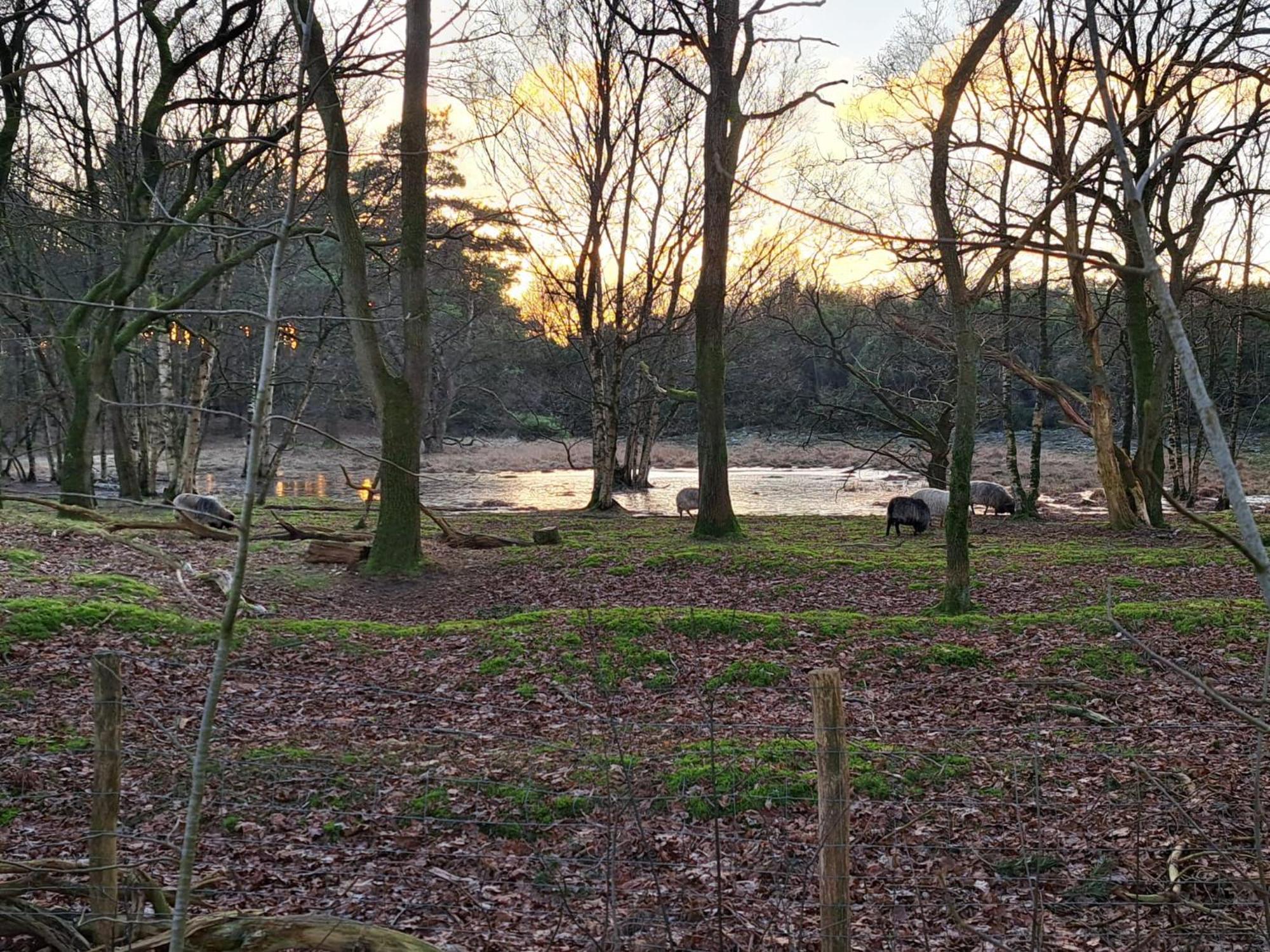 Natuurhuisje Meppen 外观 照片