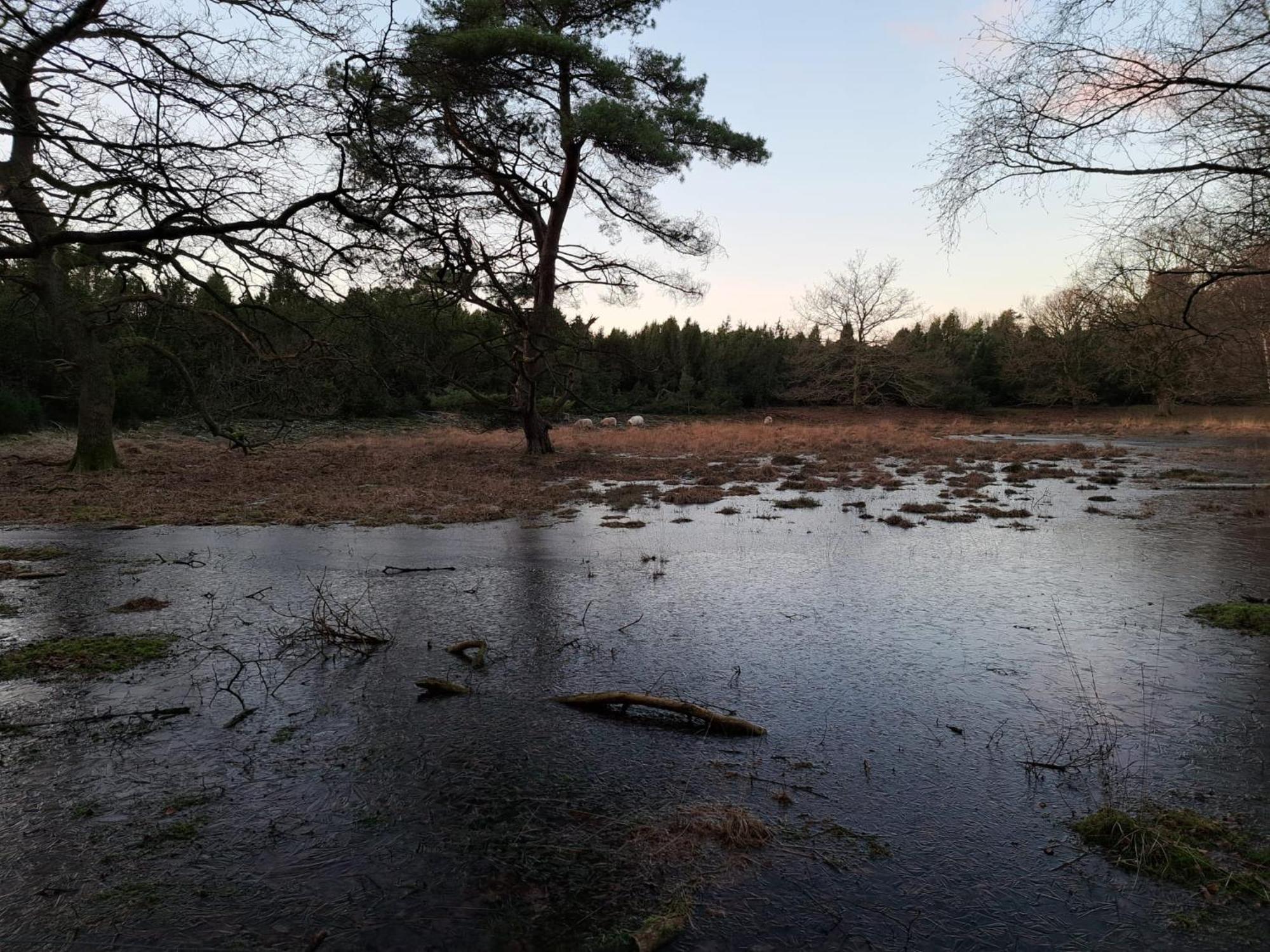 Natuurhuisje Meppen 外观 照片