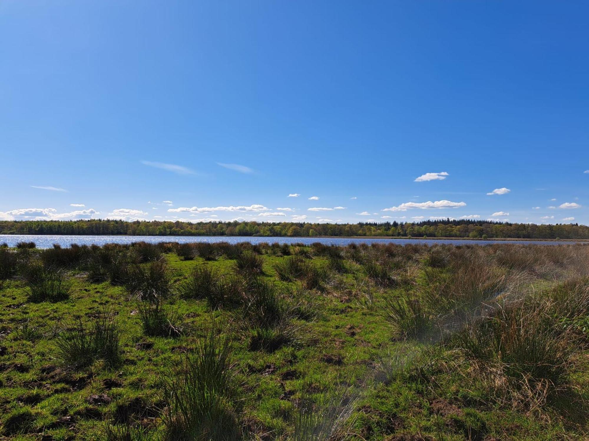 Natuurhuisje Meppen 外观 照片